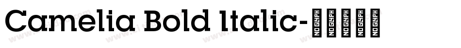 Camelia Bold Italic字体转换